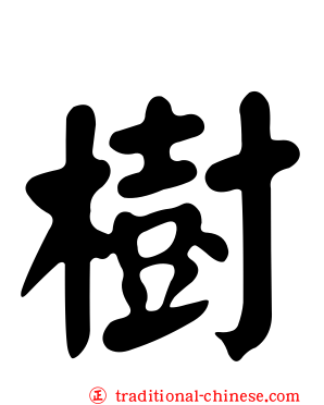 樹