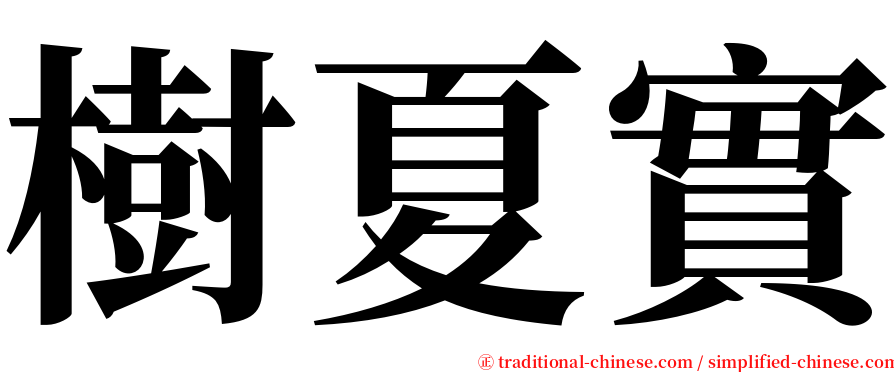 樹夏實 serif font
