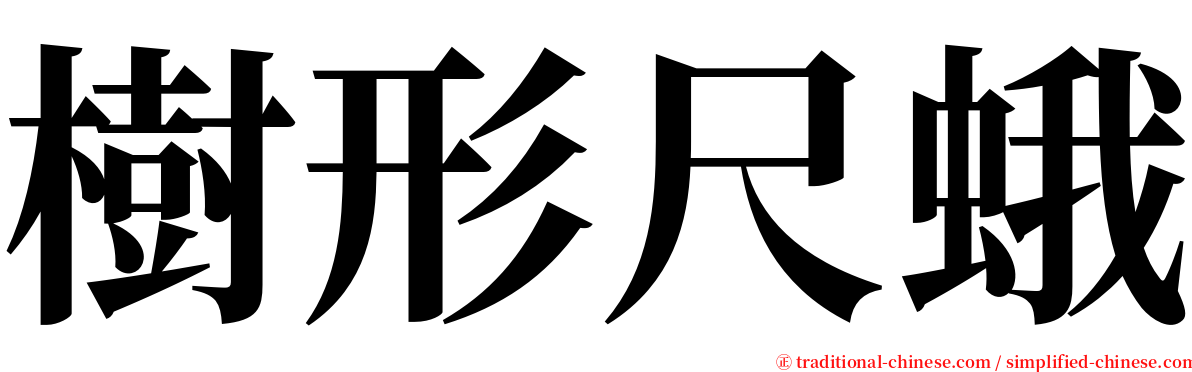 樹形尺蛾 serif font