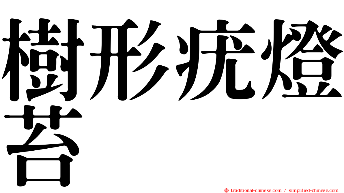 樹形疣燈苔
