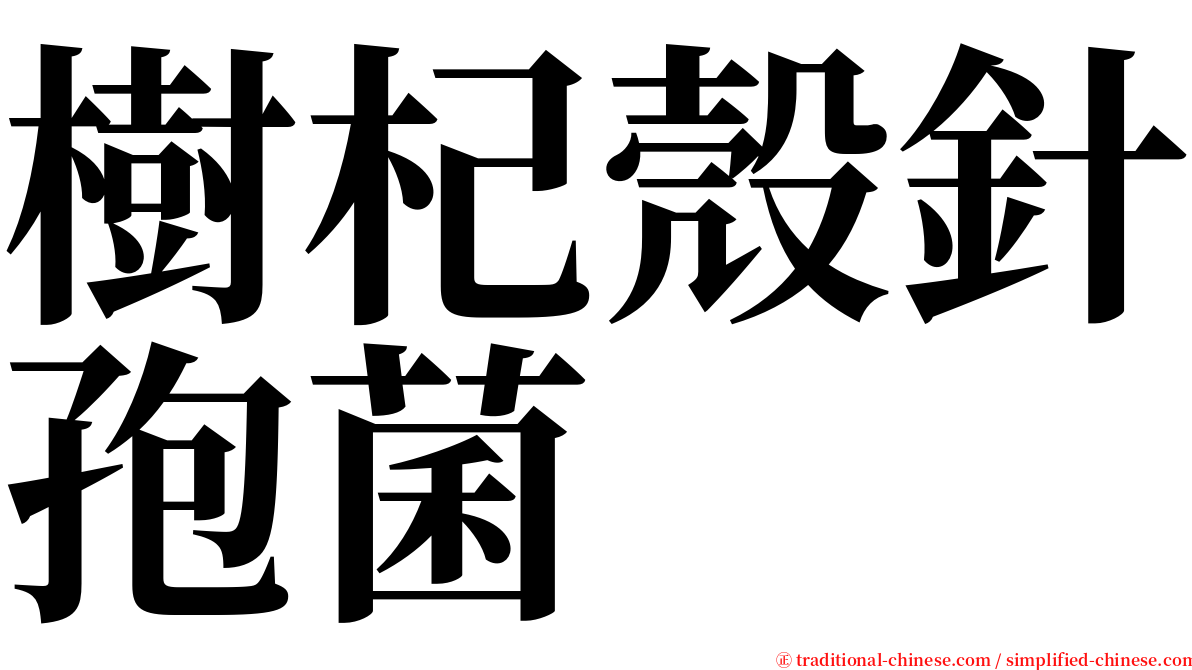 樹杞殼針孢菌 serif font