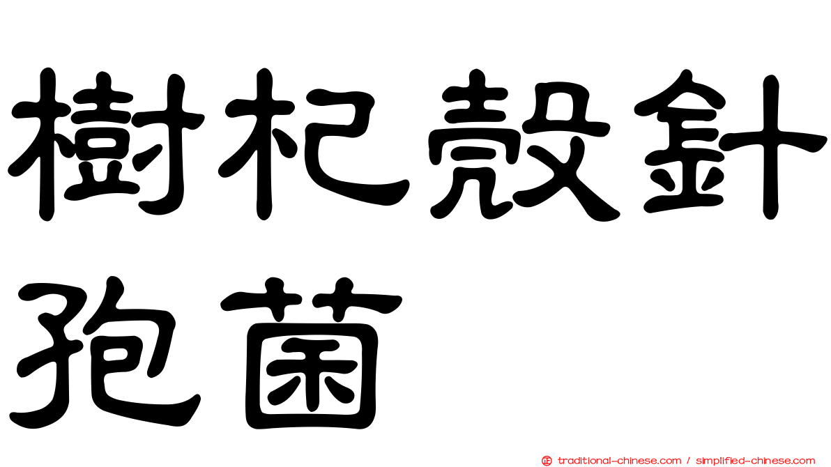 樹杞殼針孢菌