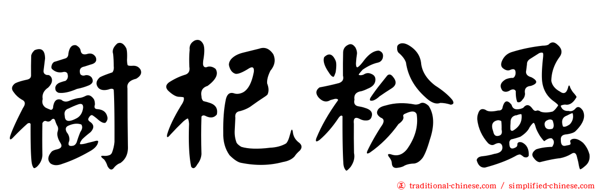 樹杞粉蝨