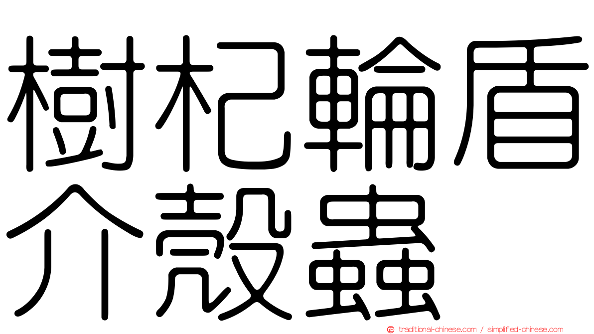 樹杞輪盾介殼蟲