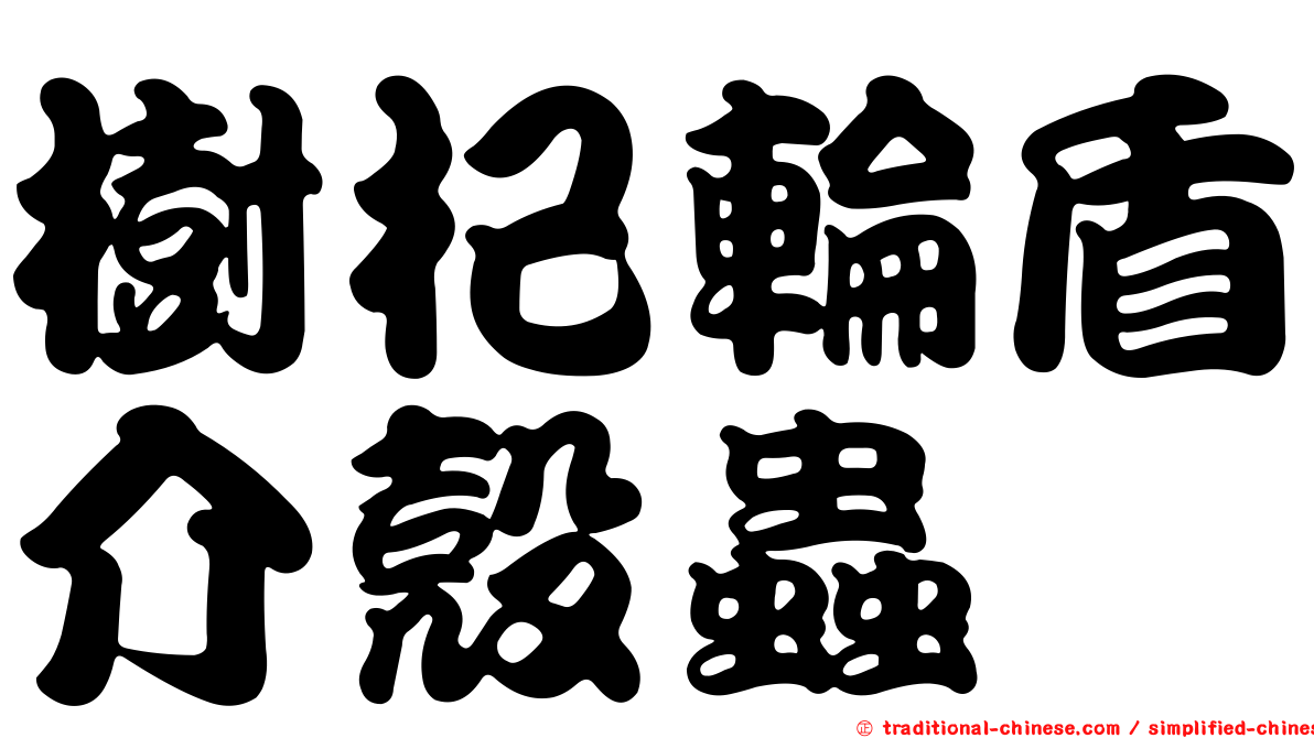樹杞輪盾介殼蟲