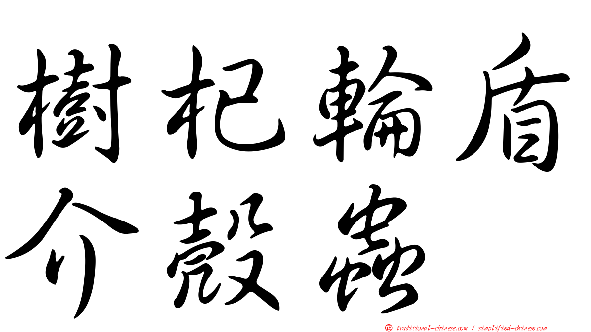 樹杞輪盾介殼蟲