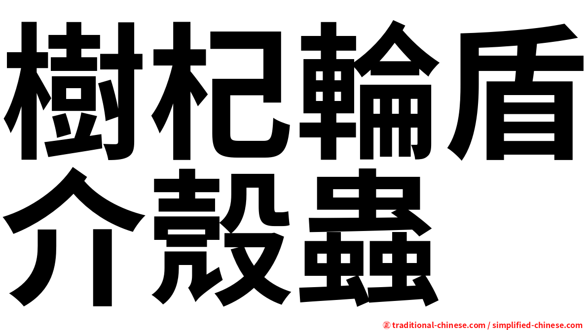 樹杞輪盾介殼蟲