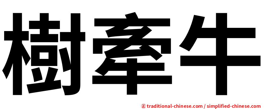 樹牽牛