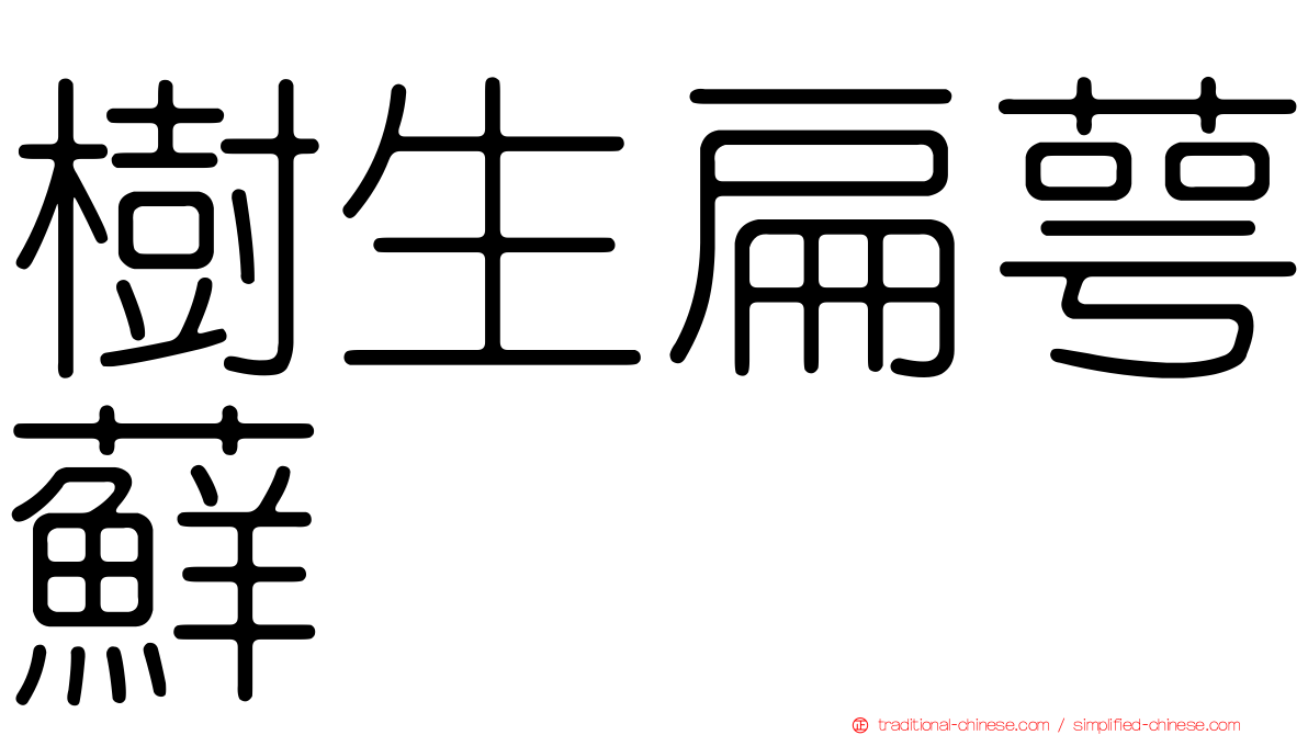 樹生扁萼蘚