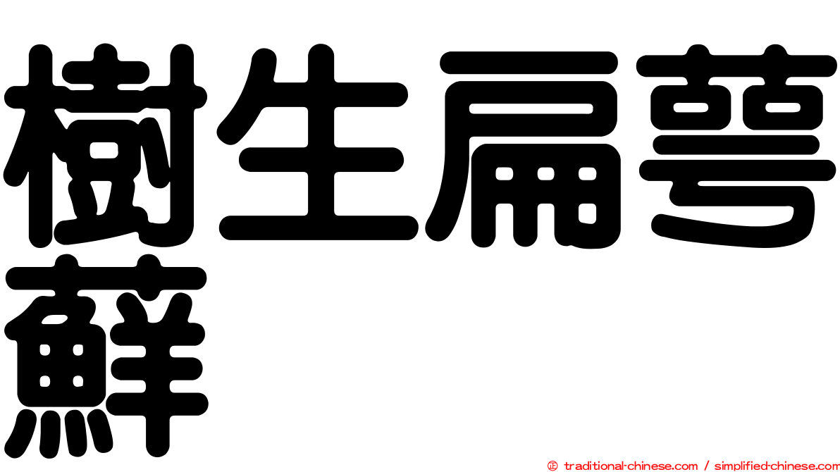 樹生扁萼蘚