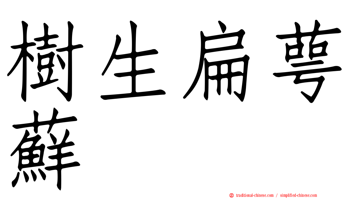 樹生扁萼蘚