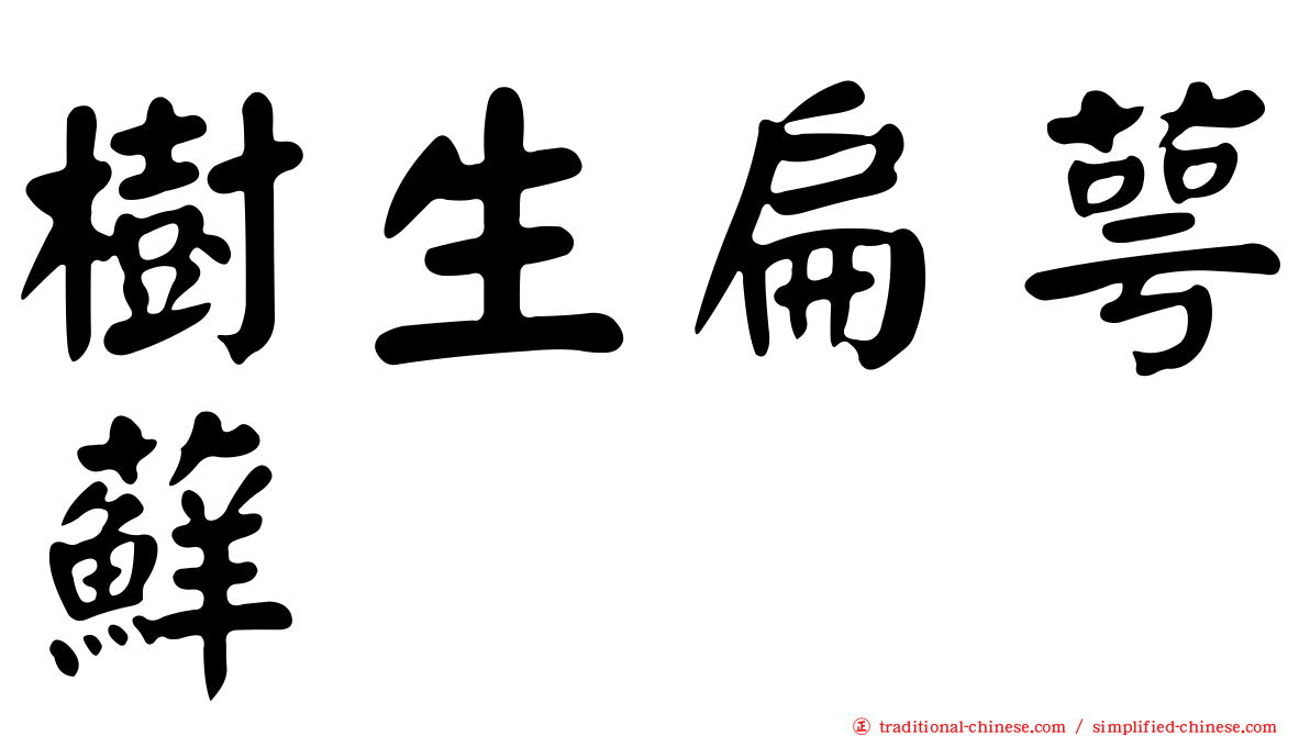 樹生扁萼蘚
