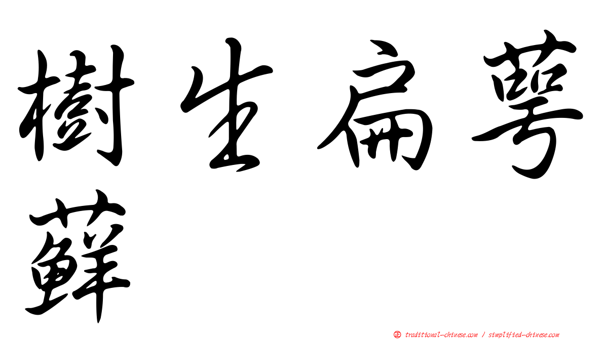 樹生扁萼蘚