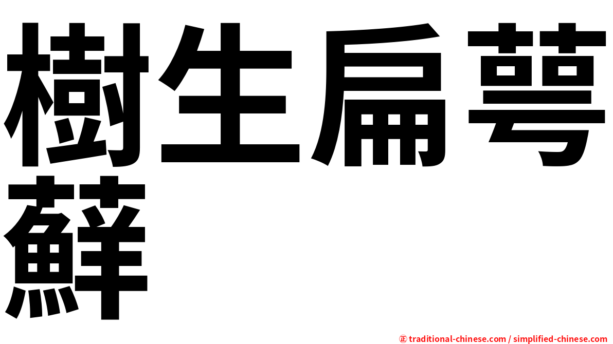 樹生扁萼蘚