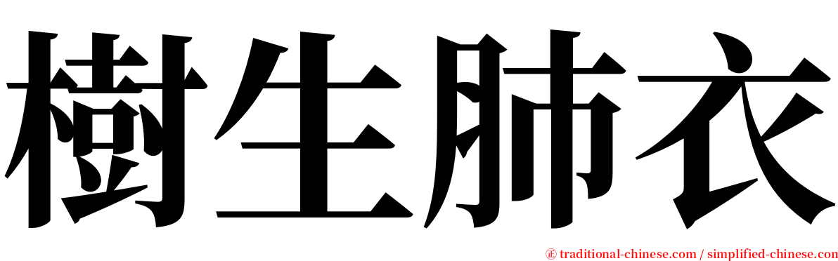 樹生肺衣 serif font