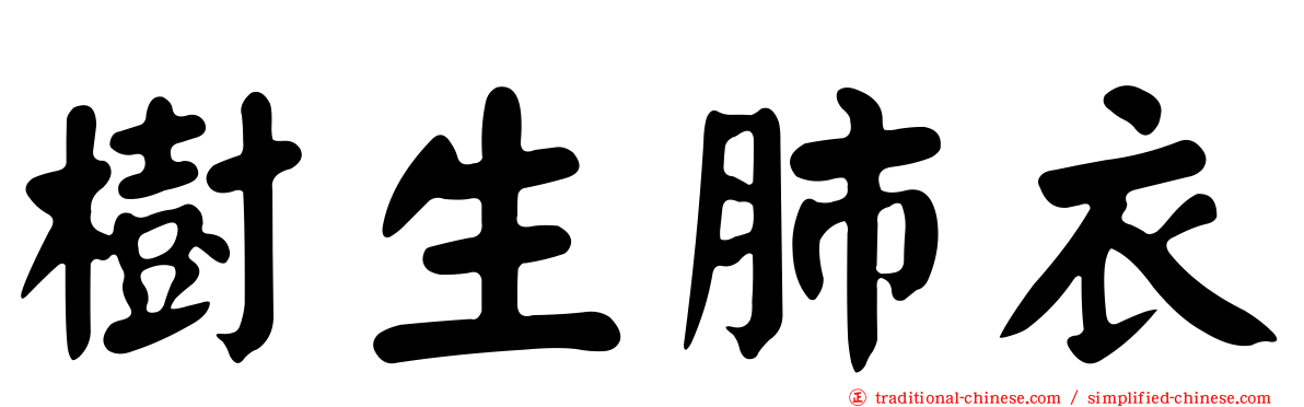 樹生肺衣
