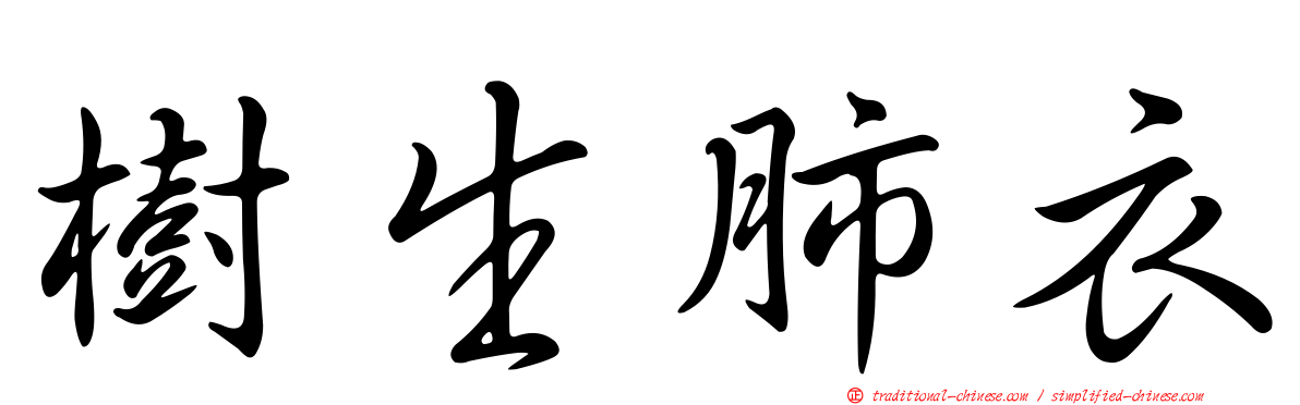 樹生肺衣