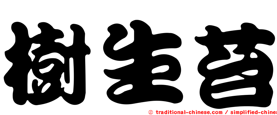 樹生苔