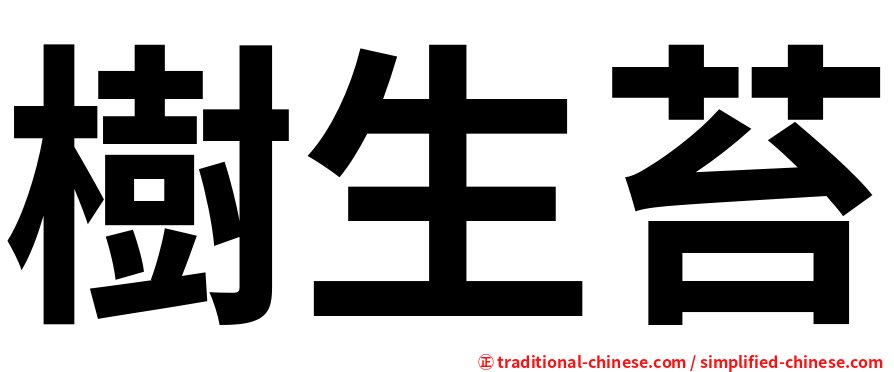 樹生苔