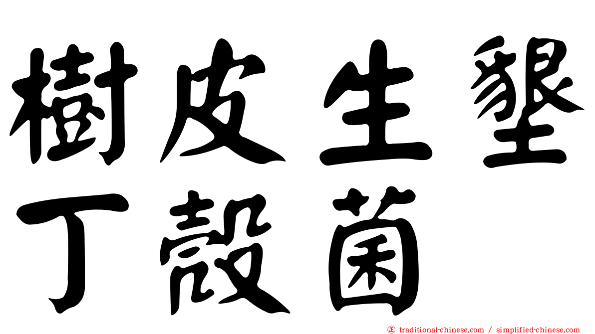 樹皮生墾丁殼菌