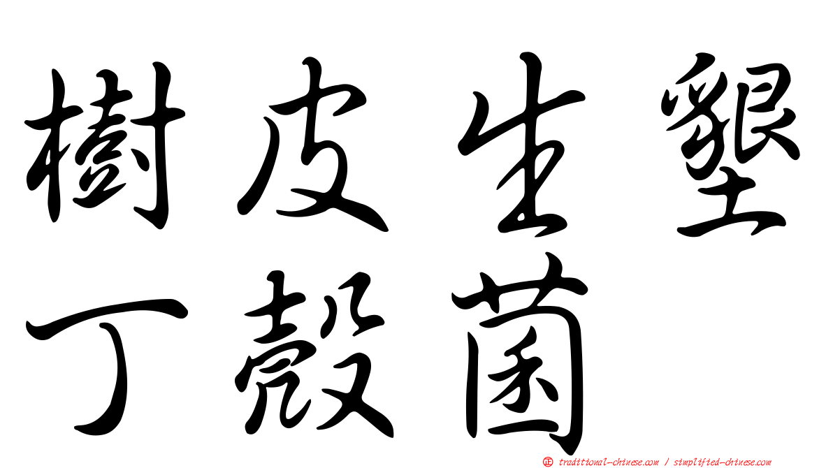 樹皮生墾丁殼菌