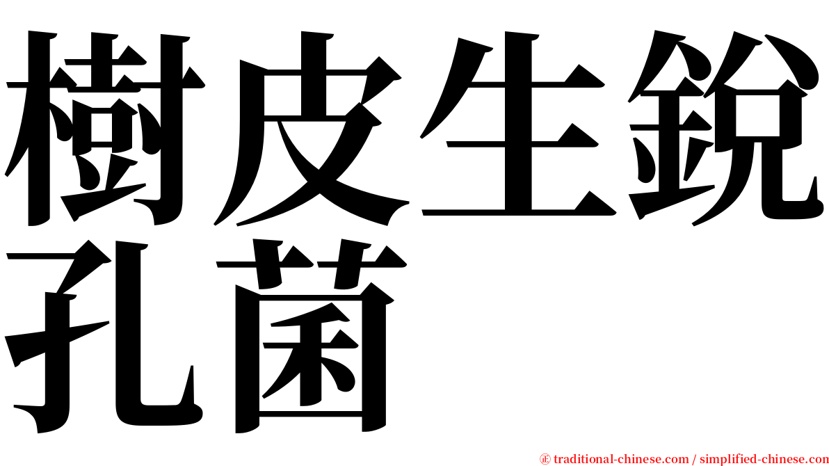 樹皮生銳孔菌 serif font