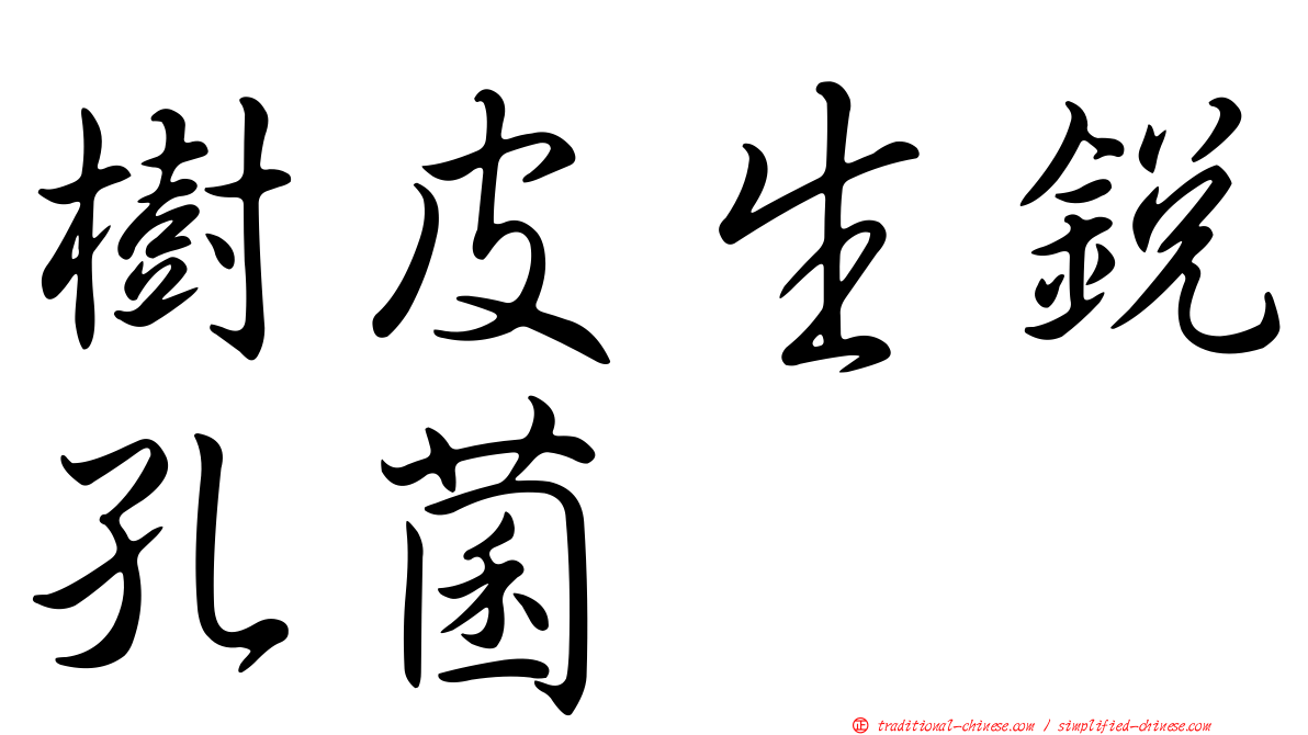 樹皮生銳孔菌
