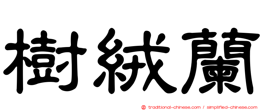 樹絨蘭
