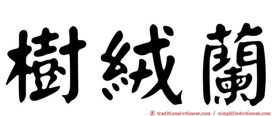 樹絨蘭
