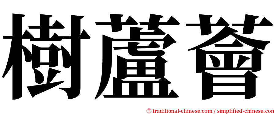 樹蘆薈 serif font