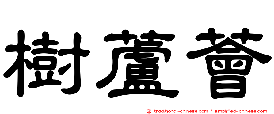 樹蘆薈