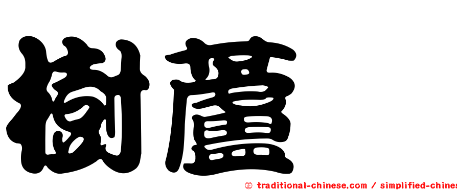 樹蘆薈