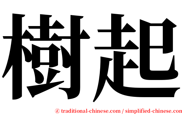 樹起 serif font