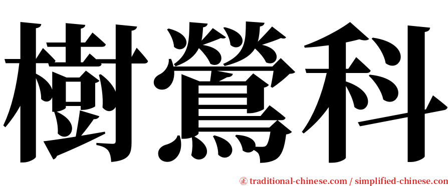 樹鶯科 serif font