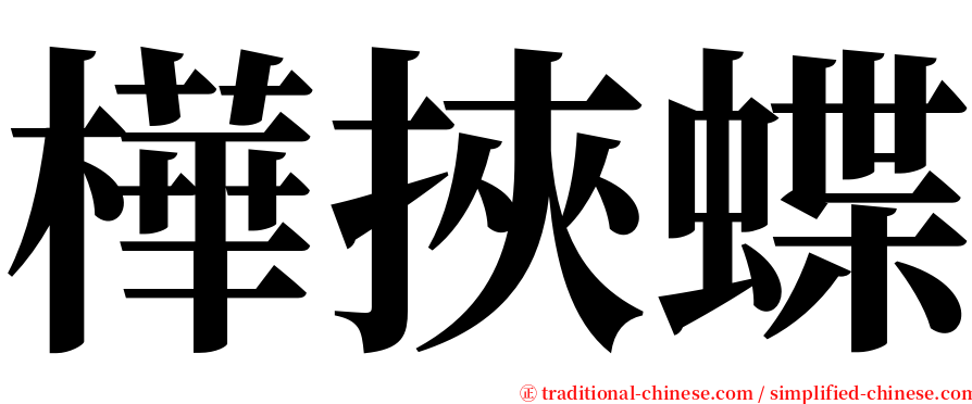 樺挾蝶 serif font