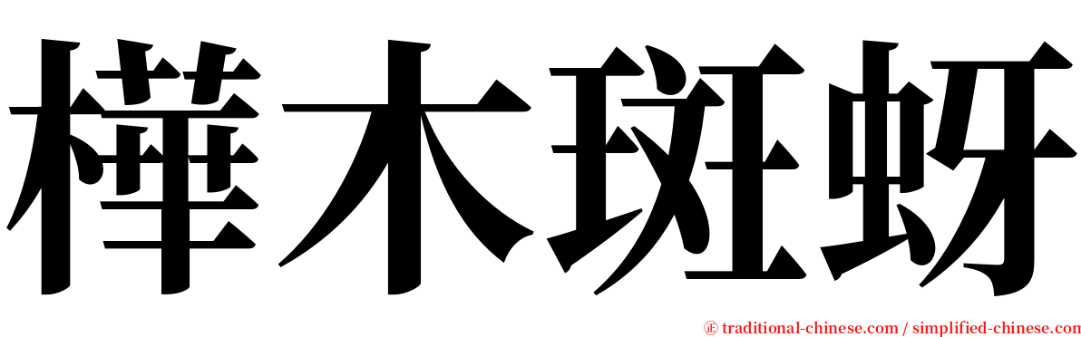 樺木斑蚜 serif font