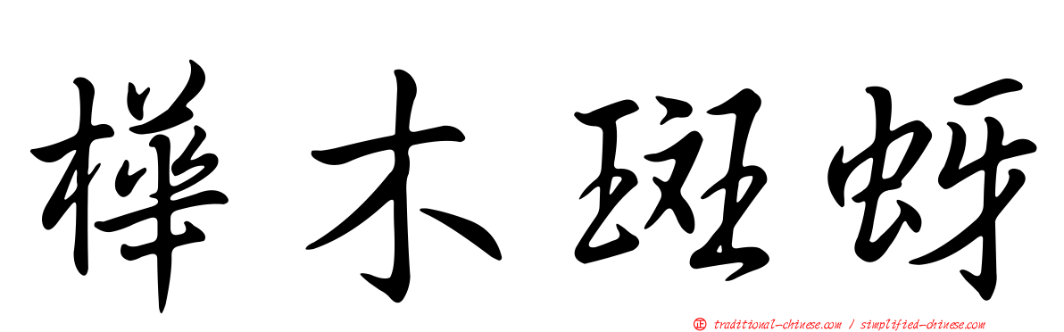樺木斑蚜
