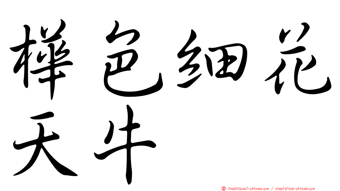 樺色細花天牛