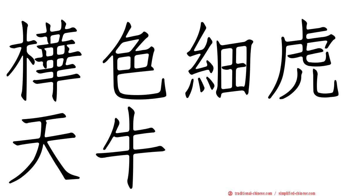 樺色細虎天牛