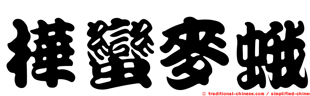 樺蠻麥蛾