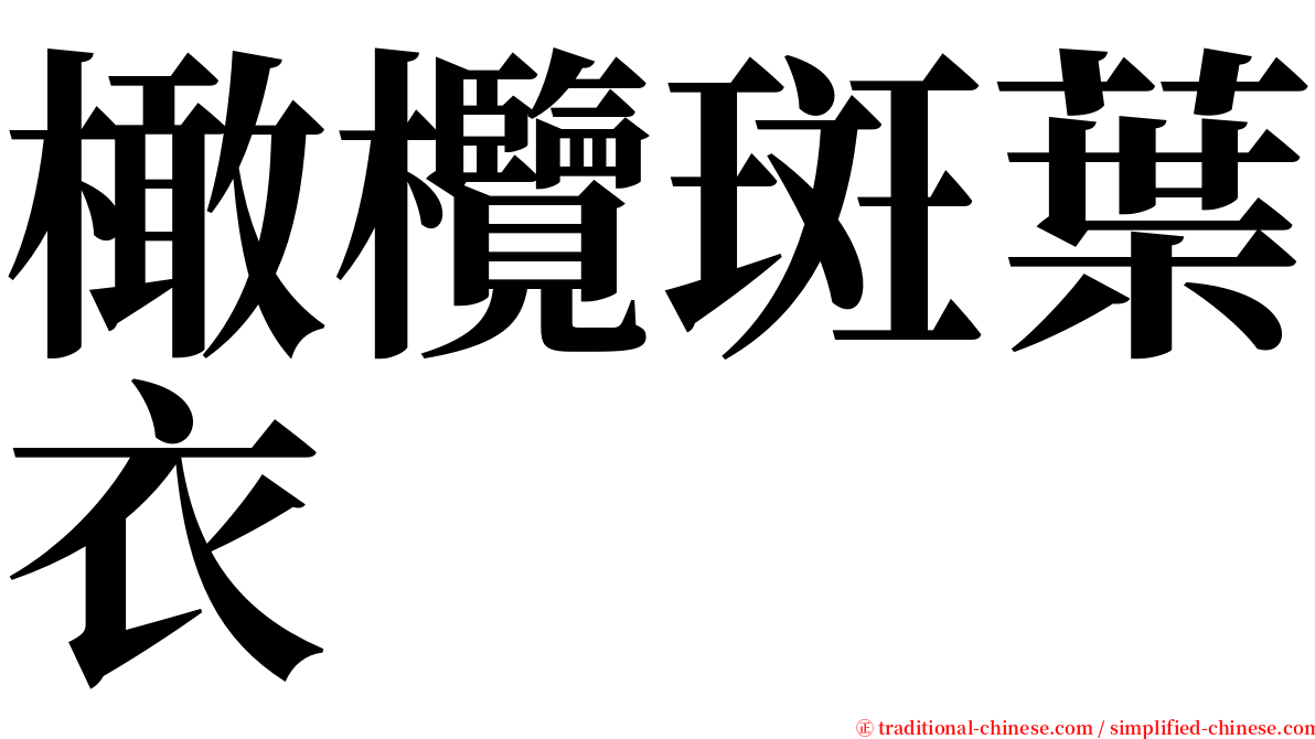 橄欖斑葉衣 serif font