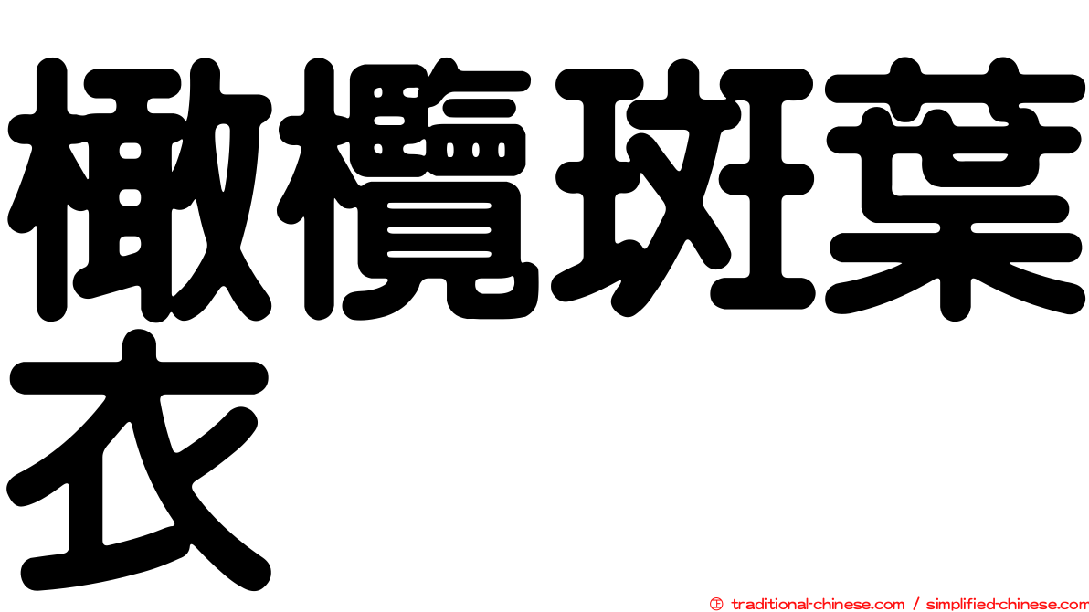 橄欖斑葉衣