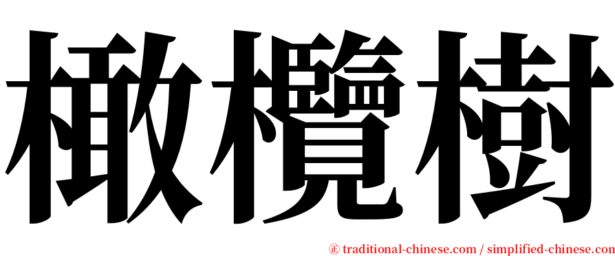 橄欖樹 serif font
