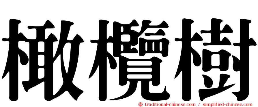 橄欖樹