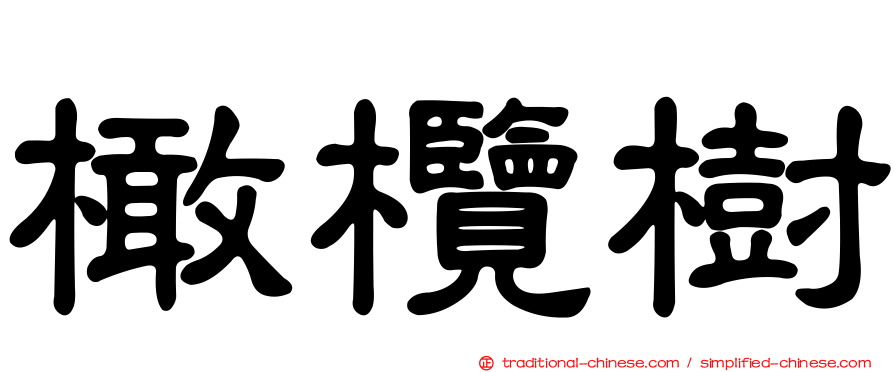 橄欖樹