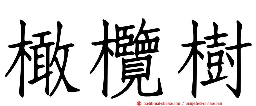 橄欖樹