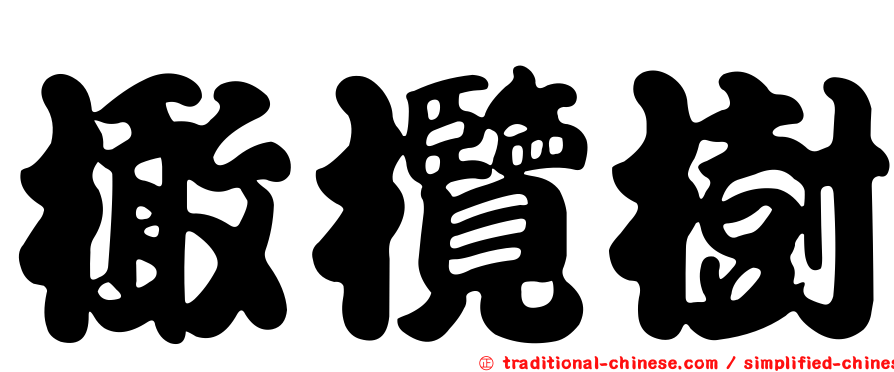 橄欖樹