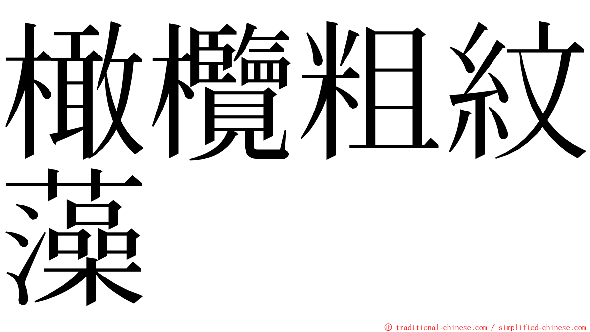 橄欖粗紋藻 ming font