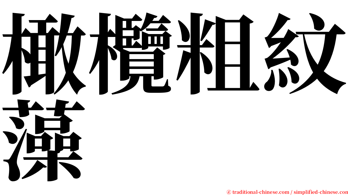 橄欖粗紋藻 serif font