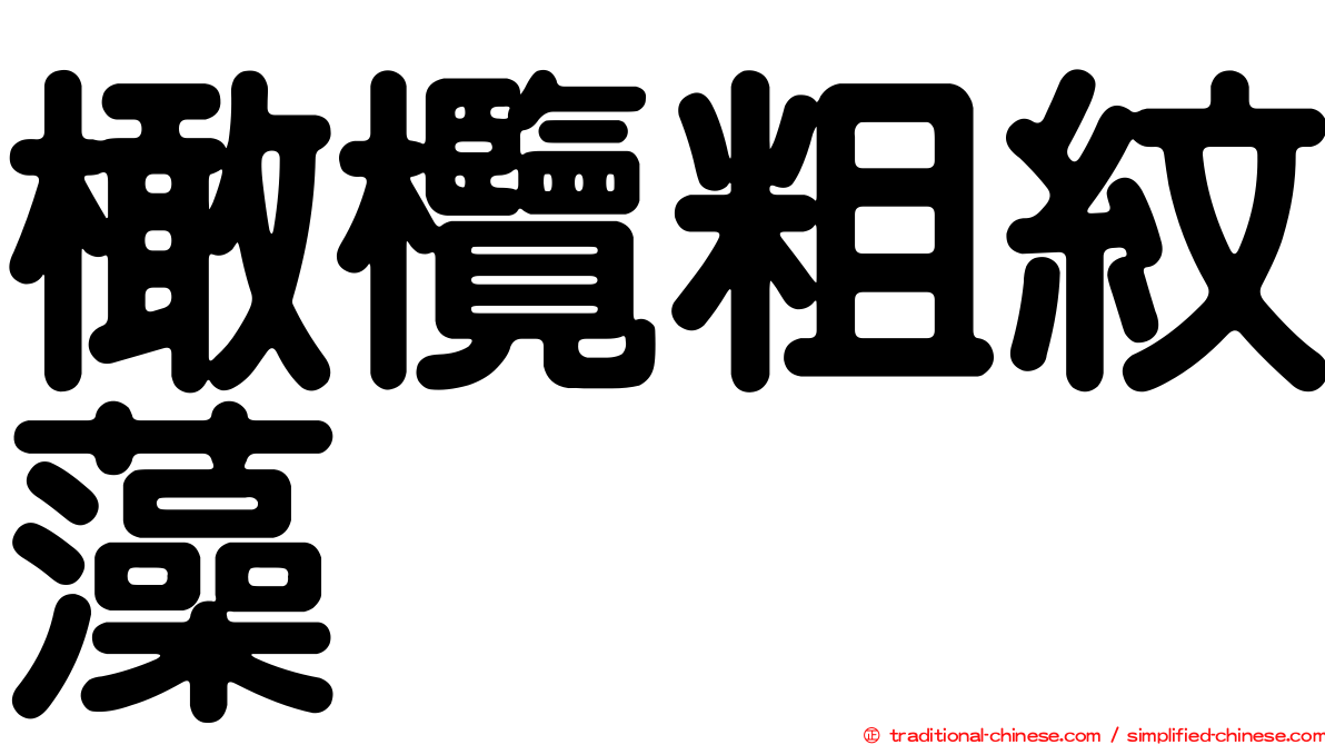 橄欖粗紋藻